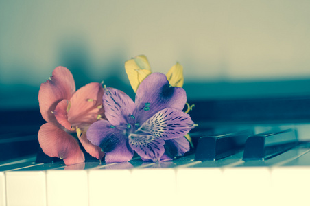 在钢琴上花