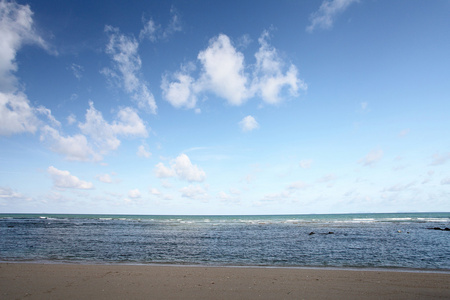 海滩和热带海