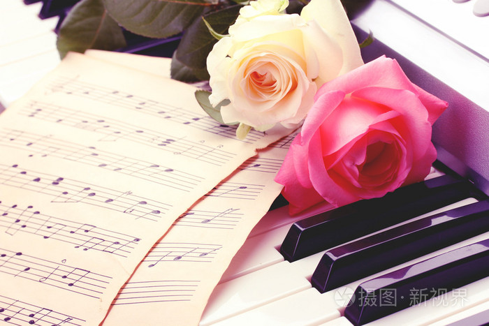 玫瑰与钢琴键盘的背景