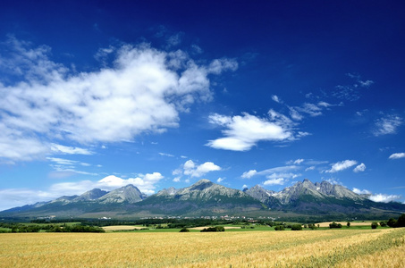 在夏季时间在高塔特拉山山峰的视图