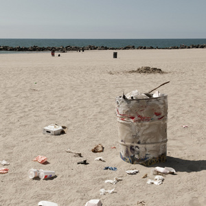 垃圾箱上威尼斯海滩，洛杉矶，加利福尼亚州，美国