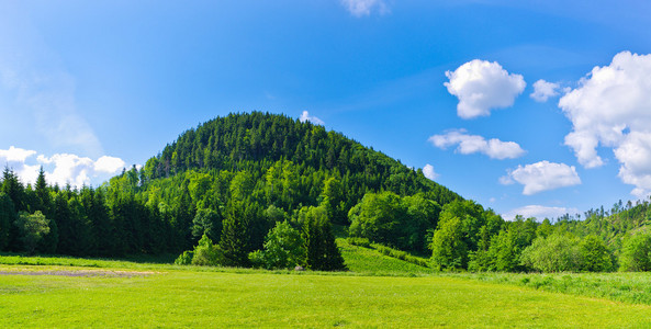 寂寞的山