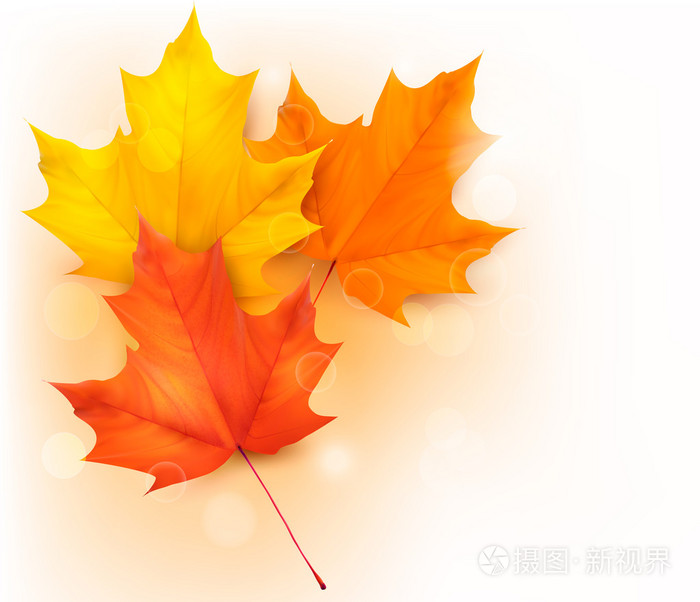 叶秋背景插画 正版商用图片19upe2 摄图新视界