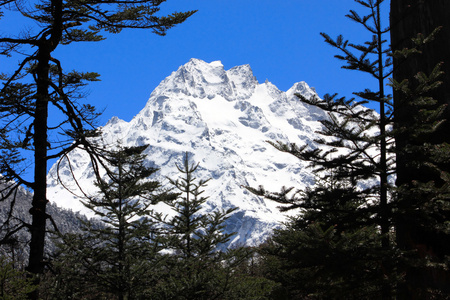 在锡金锡金谷雪山