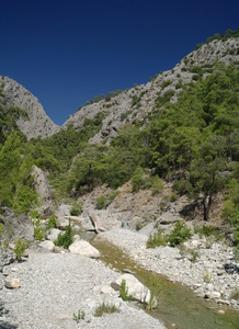 山区河流图片