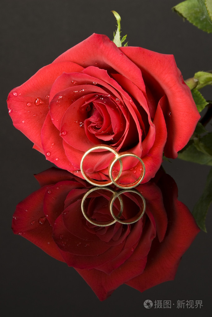红玫瑰和结婚戒指
