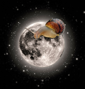 蜗牛登上月球