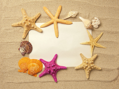 starfishes 海架