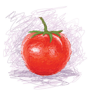 新鲜番茄果实