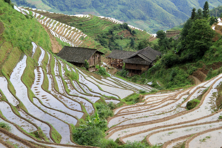 龙胜梯田中国