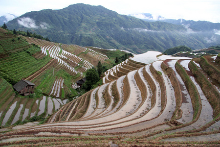 龙胜梯田