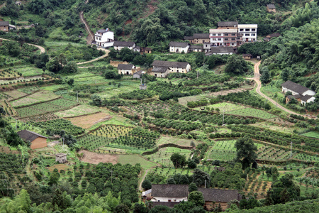 村和果园