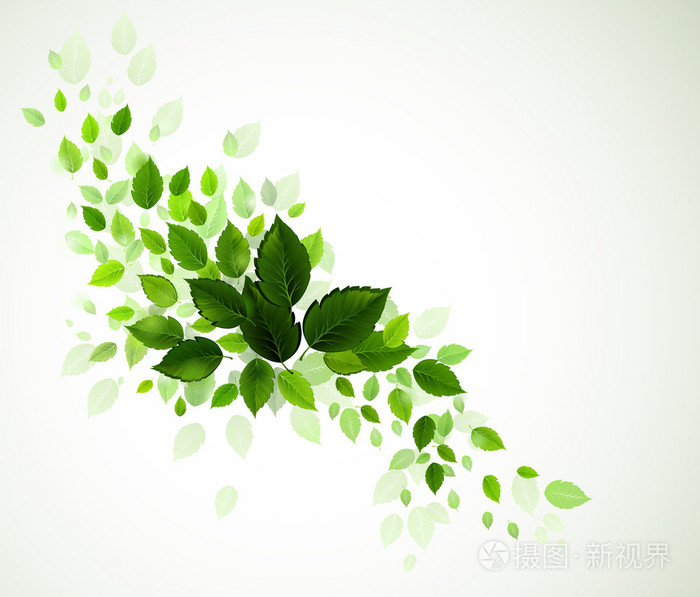 分支与新鲜绿色的树叶插画-正版商用图片19vnk8-摄图新视界