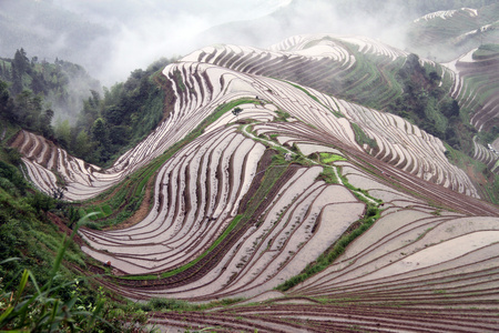 龙胜梯田中国