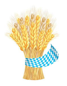 巴法力亚颜色中的功能区小麦耳芽层