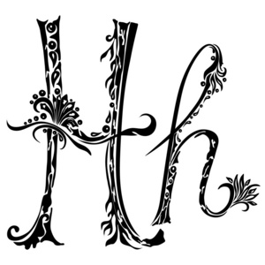 字母 h h 在白色背景上的抽象花卉图案的样式