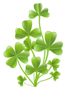 四个枫叶三叶草图片