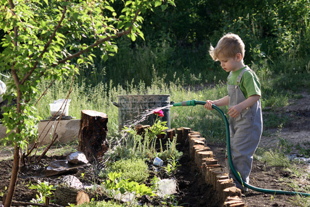 小男孩在花园里的植物浇水