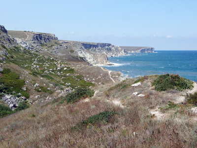 海洋海岸