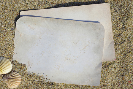 海贝壳与纸和沙作为背景