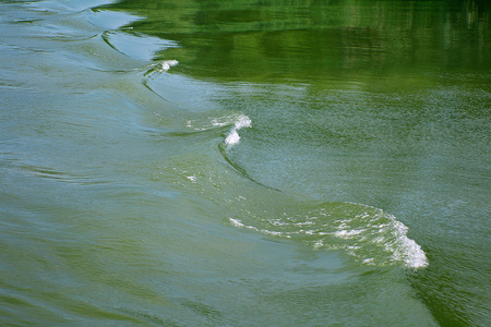 在这条河 美丽行波和漫反射的绿树水的表面