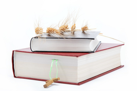 干花书签两本书.神圣的圣经,在白色背景上照片