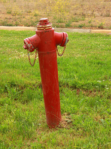 红色消防栓上绿草背景图片