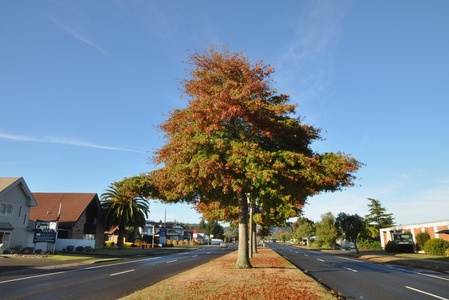 城市道路