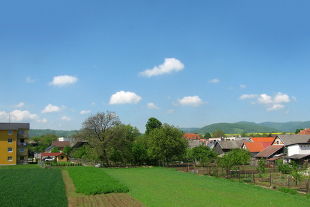 村全景