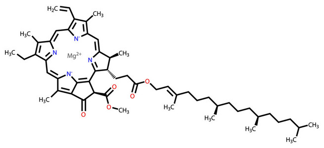 叶绿素 a 结构式