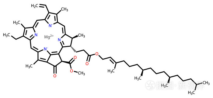 叶绿素 a 结构式