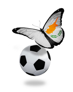 概念与塞浦路斯旗接近球，就像蝴蝶