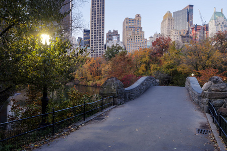 中央公园 gaptow 桥的秋天