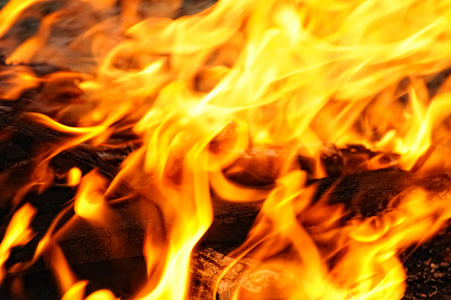木材在火中燃烧