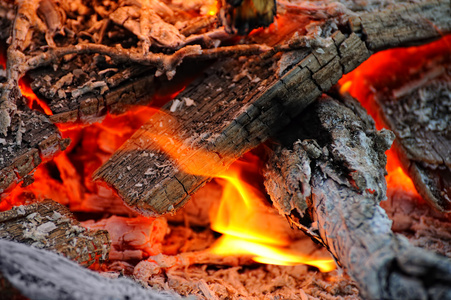 木材在火中燃烧