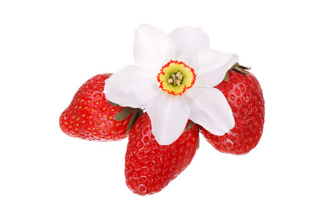 新鲜草莓和孤立的花