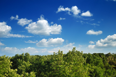 蓝蓝的天空背景上的夏天风景