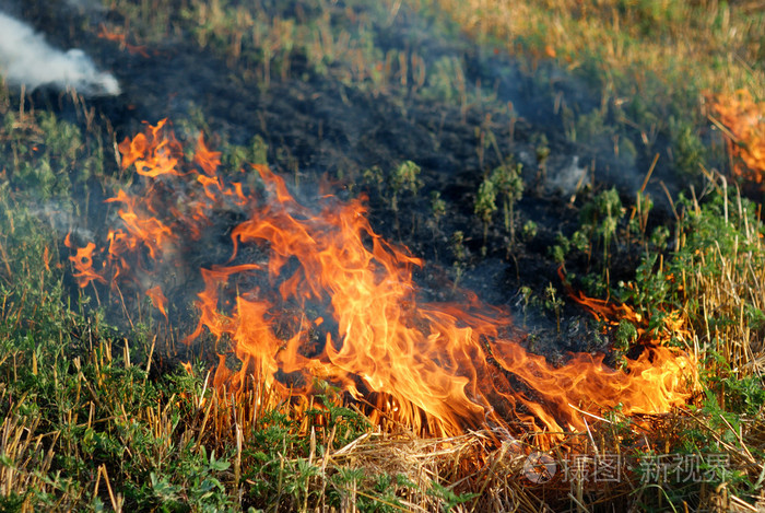 在干草地场火