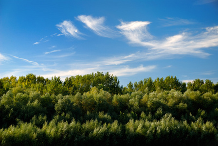 蓝蓝的天空背景上的夏天风景