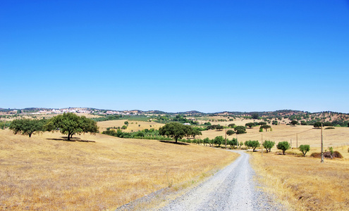 葡萄牙 alentejo 村的乡村景观