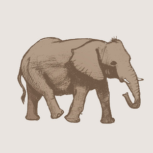 绘图的大象图片-绘图的大象素材-绘图的大象插画-摄图新视界