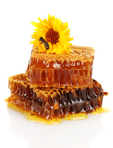 甜蜂窝状，与蜂蜜 蜜蜂和花朵，白色上孤立