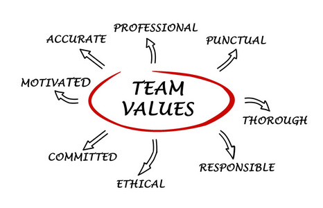 团队的价值和规范图片