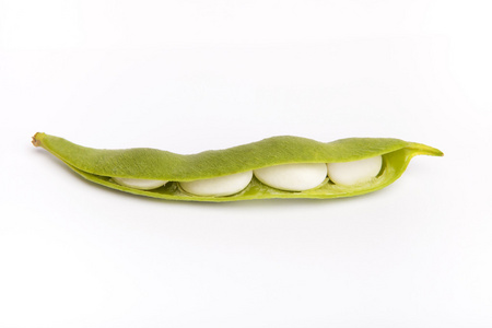 孤立在白色的绿扁豆