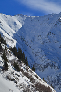 冬山风景