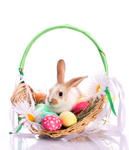 在复活节篮子里的小兔子