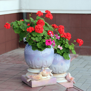 flowepot 用鲜花