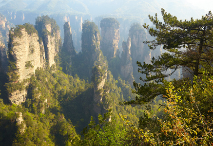 张家界国家公园，中国。阿凡达山