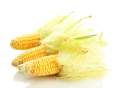 新鲜玉米，孤立在白色