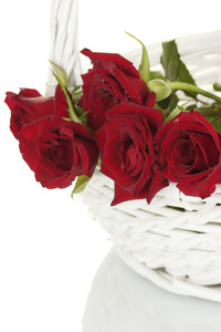 在上一个白色背景特写白色篮子里美丽的红玫瑰